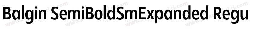 Balgin SemiBoldSmExpanded Regular字体转换